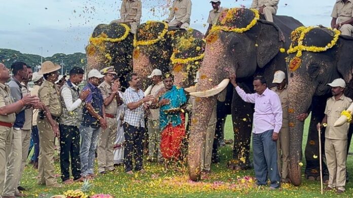 DASARAELE1