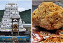 ತಿರುಪತಿ ಲಡ್ಡಿನಲ್ಲಿ ಪ್ರಾಣಿಗಳ ಕೊಬ್ಬು, ತುಪ್ಪದ ಗುಣಮಟ್ಟ ಪರೀಕ್ಷೆಗೆ ಸಮಿತಿ ರಚನೆ.
