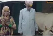 ಬೆಳಗಾವಿ: ಗೃಹಲಕ್ಷ್ಮೀ ಯೋಜನೆ ಹಣದಿಂದ ಎತ್ತು ಖರೀದಿಸಿದ ರೈತ ಮಹಿಳೆ.