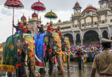 ಮೈಸೂರು ದಸರಾ 2024: ಇಂದು ವಿಶ್ವವಿಖ್ಯಾತ ಜಂಬೂಸವಾರಿ, ಸಿಎಂ ಸಿದ್ದರಾಮಯ್ಯ ಚಾಲನೆ.