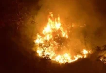 ಚಾರ್ಮಾಡಿ ಘಾಟಿಯಲ್ಲಿ ಭೀಕರ ಕಾಡ್ಗಿಚ್ಚು: ನೂರಾರು ಎಕರೆ ಅರಣ್ಯ ನಾಶ.