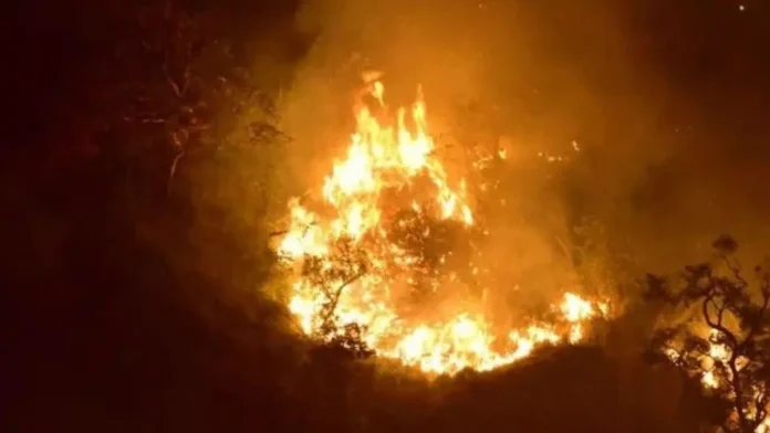 507282-fire1