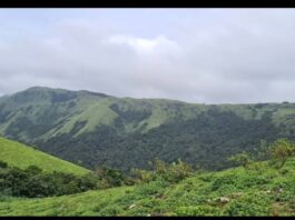 ಮೂಡಿಗೆರೆ :ಪ್ರವಾಸಕ್ಕೆ ಬಂದಿದ್ದ ಯುವಕ ಹೃದಯಾಘಾತದಿಂದ 26 ವರ್ಷದ ಯುವಕ ಸಾವು