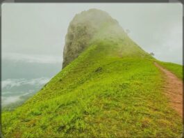 ಎತ್ತಿನಭುಜ ಚಾರಣಕ್ಕೆ ಬಂದ ಪ್ರವಾಸಿಗರ ಪರದಾಟ: ಮೂಲಸೌಕರ್ಯವಿಲ್ಲದೆ ಟ್ರೆಕ್ಕಿಂಗ್ ಓಪನ್ ಆರೋಪ